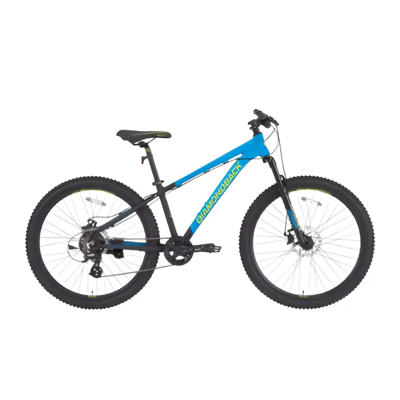 Diamondback Pines Bike price