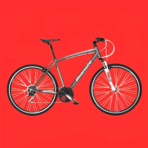 Bianchi Camaleonte 1